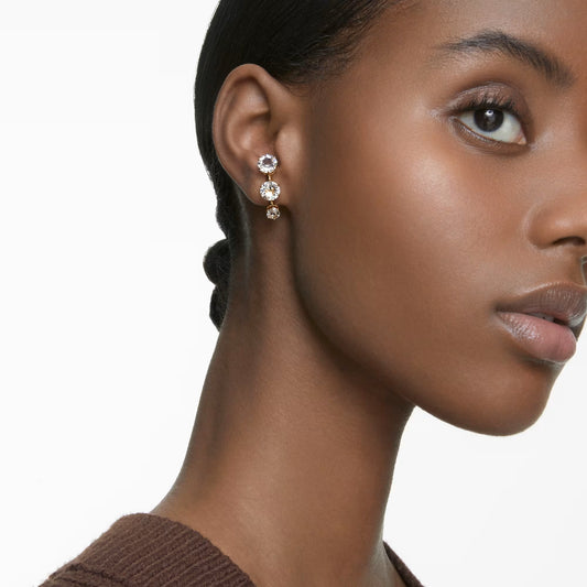 Constella Crystal Gold-tone Plated Earrings