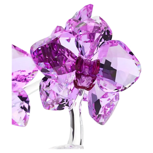 Crystal Flowers Orchid