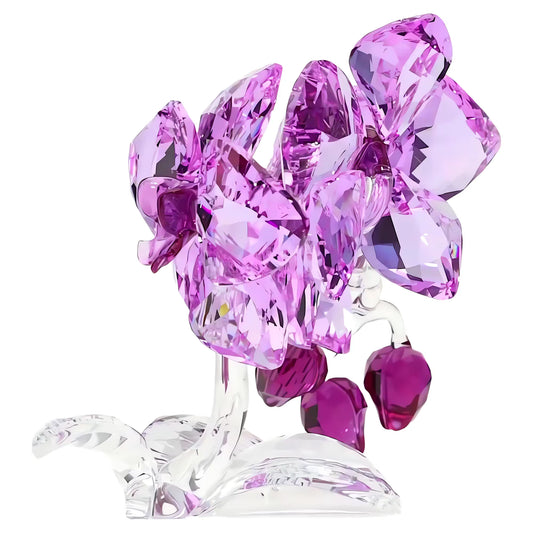 Crystal Flowers Orchid