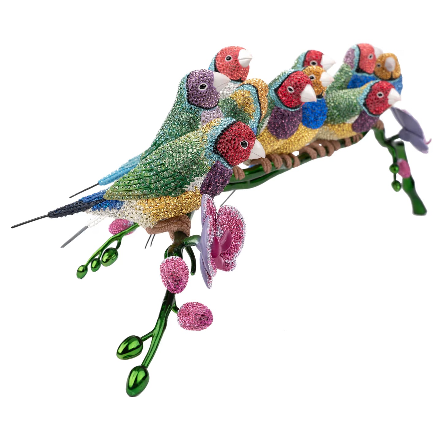Crystal Myriad Gouldian Finches