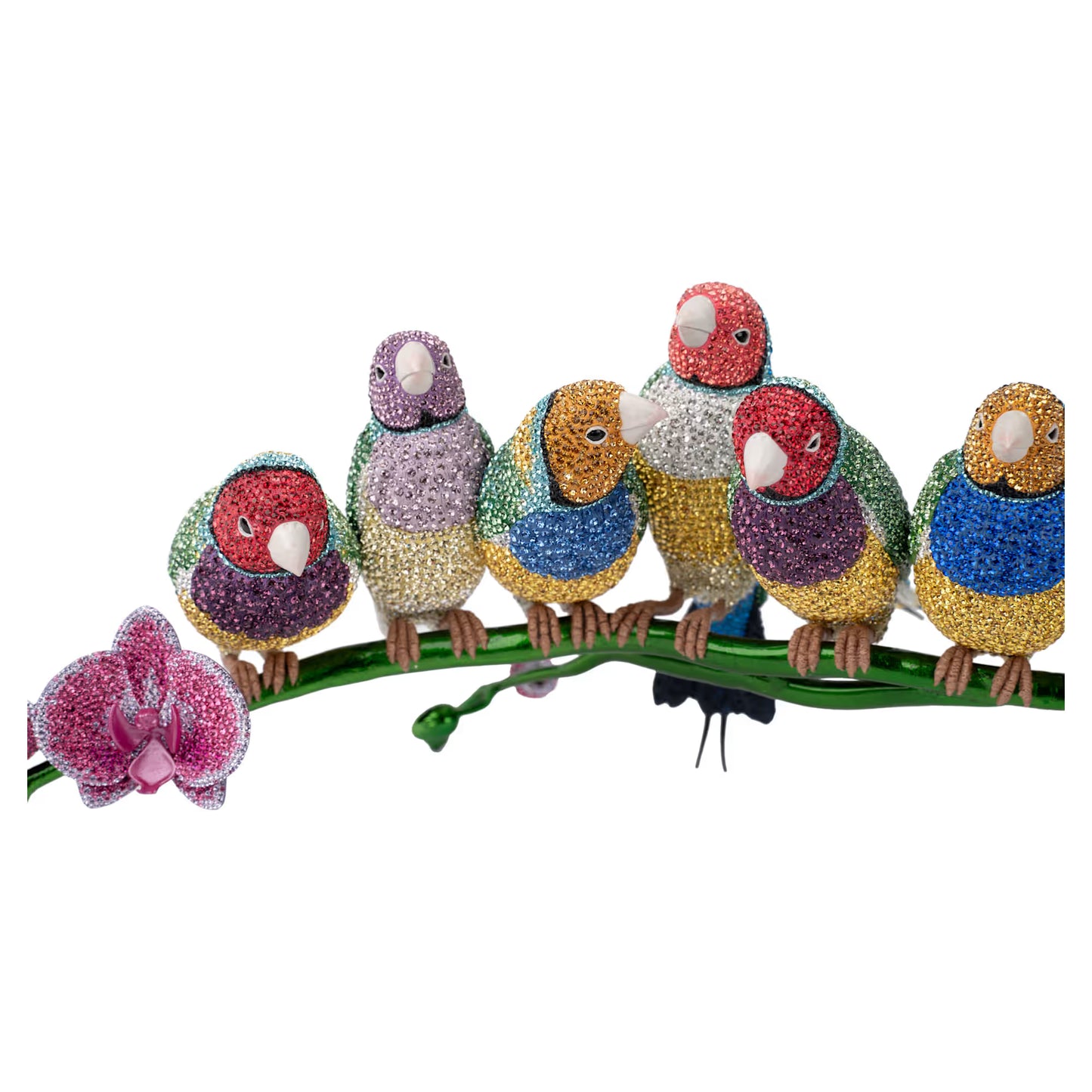 Crystal Myriad Gouldian Finches