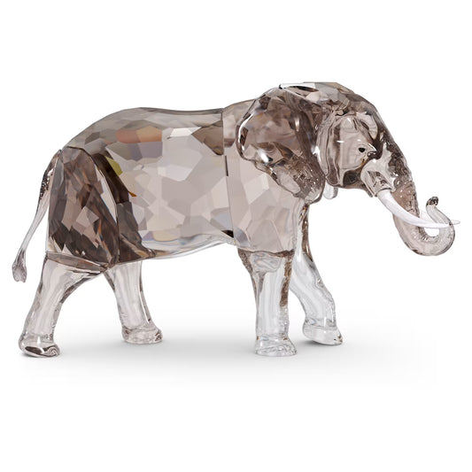 Elegance of Africa SCS Jubilee 2022 Elephant Zena
