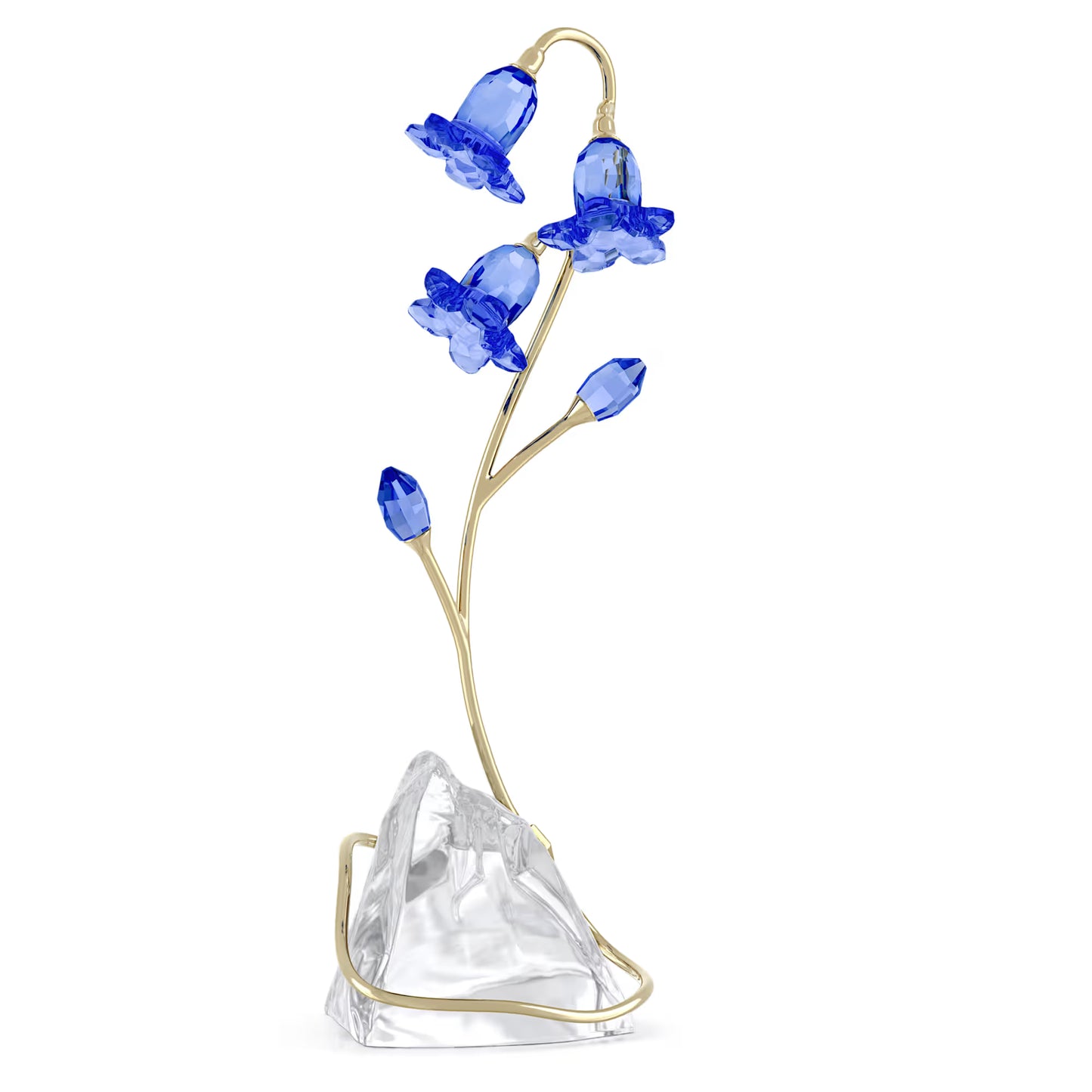 Florere Blue Bellflower