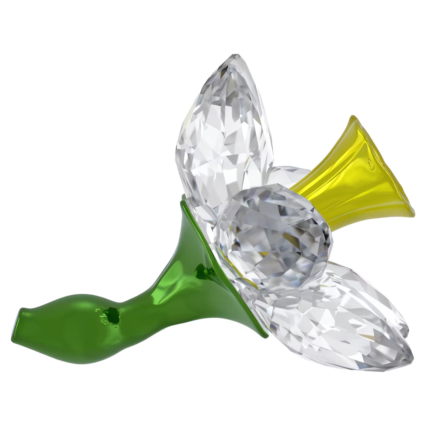 Florere Daffodil