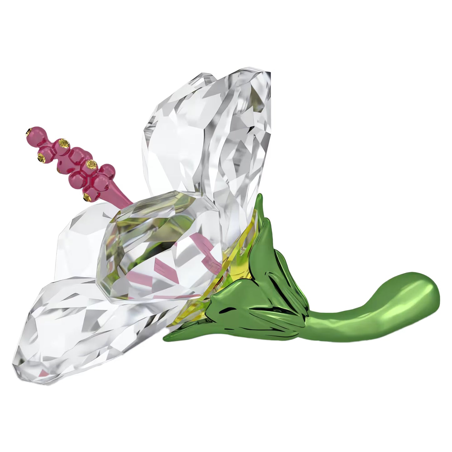 Florere Hibiscus, Small