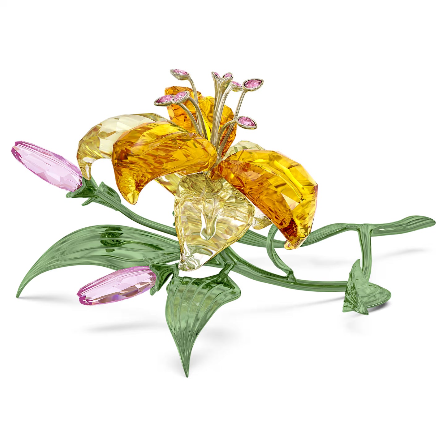 Florere Lily, Large