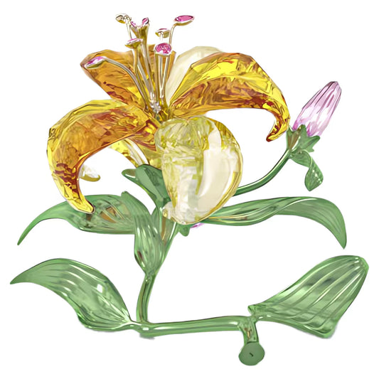 Florere Lily, Large