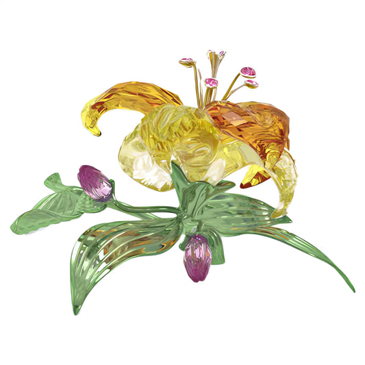 Florere Lily, Large