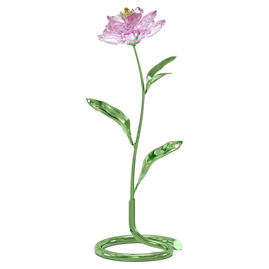 Florere Peony