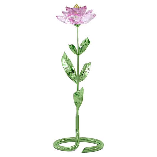 Florere Peony