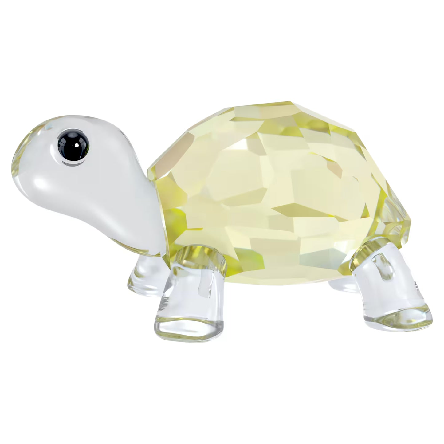 Idyllia Baby Tortoise