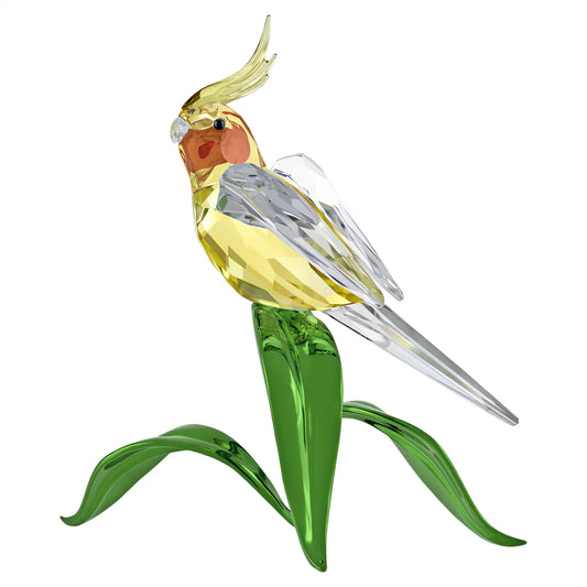 Idyllia Cockatiel