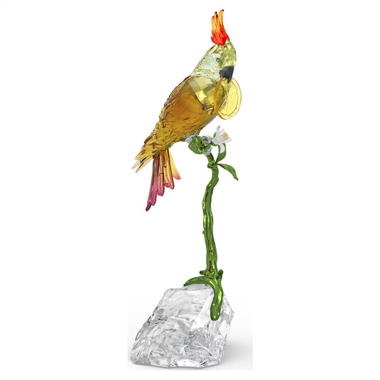 Idyllia Cockatoo