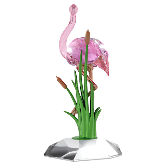 Idyllia Flamingo
