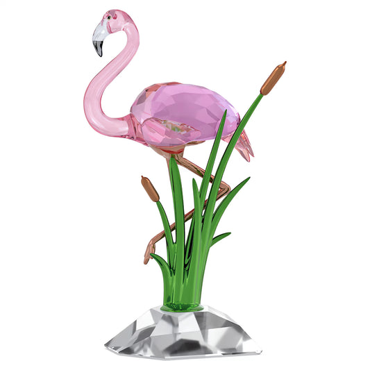 Idyllia Flamingo