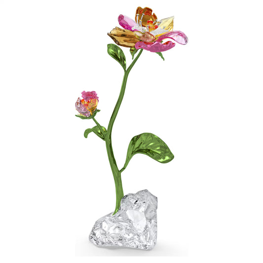 Idyllia Flower, Large
