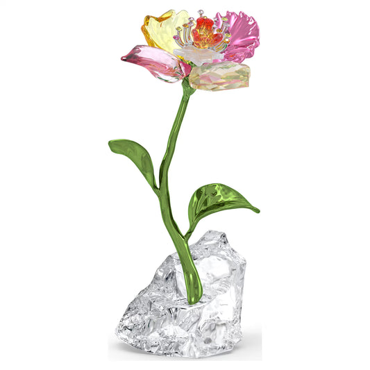Idyllia Flower, Small