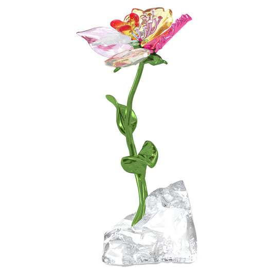 Idyllia Flower, Small