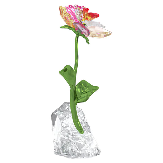 Idyllia Flower, Small