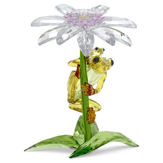 Idyllia Frogs and Flower