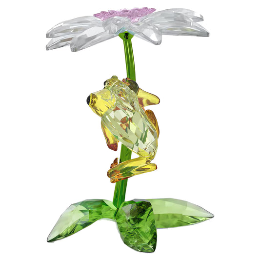 Idyllia Frogs and Flower