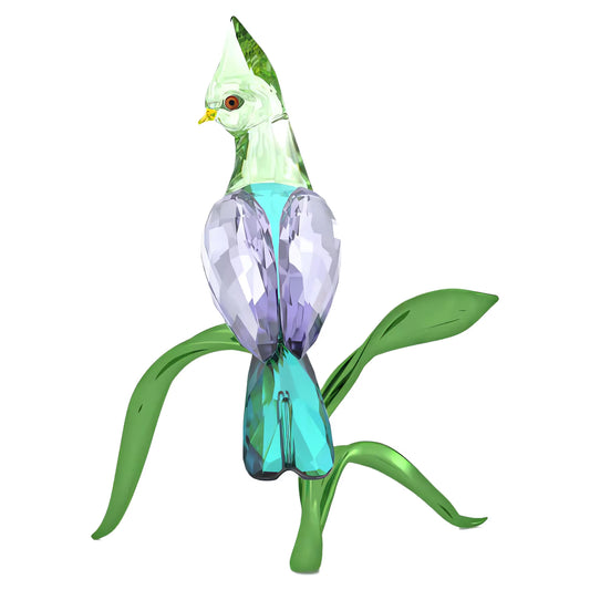 Idyllia Green Turaco