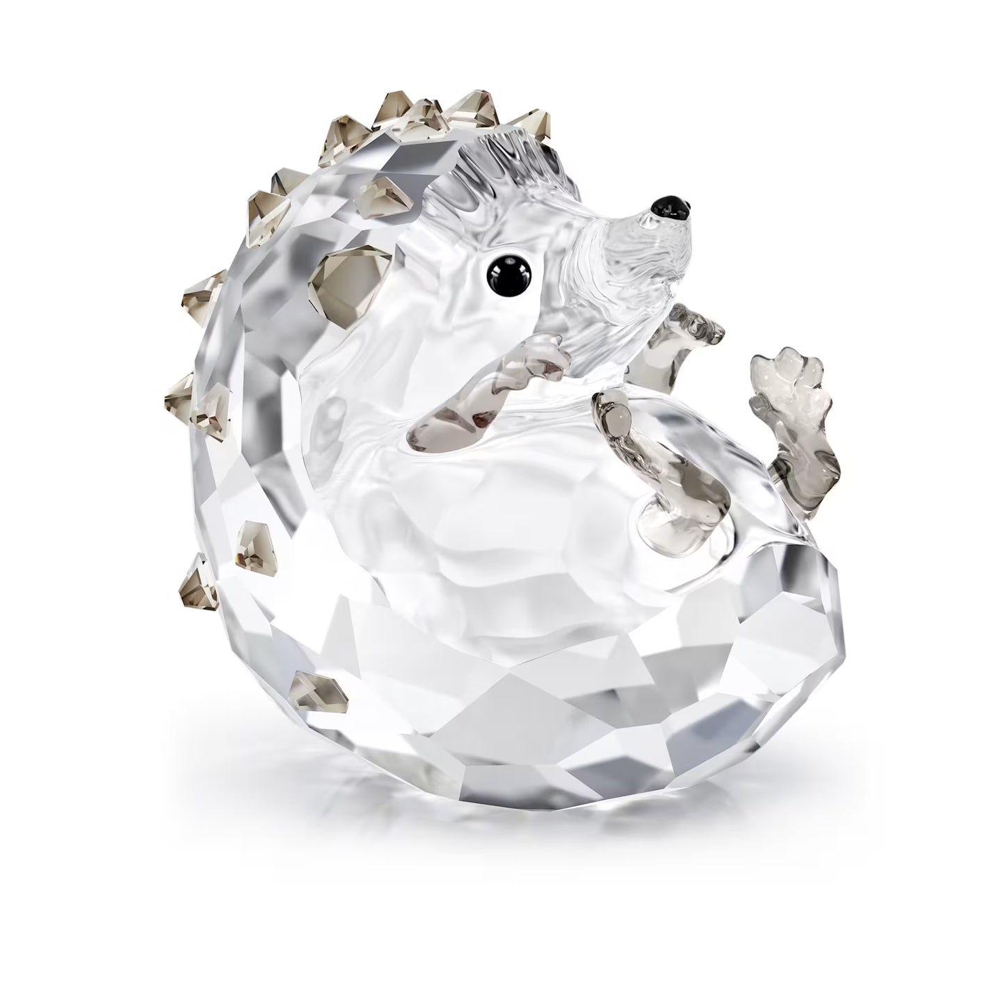 Idyllia Hedgehog