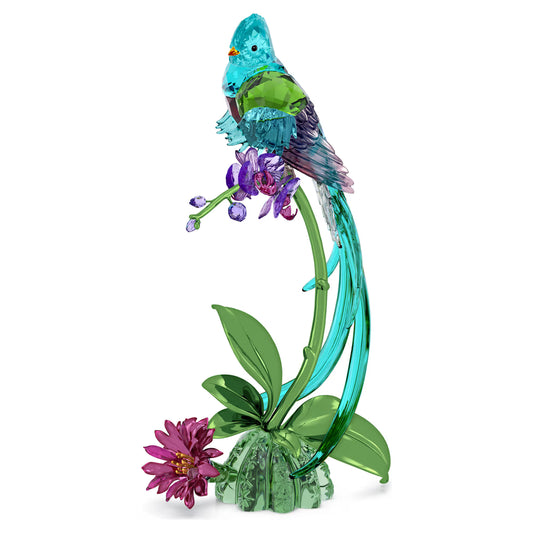 Idyllia Quetzal and Orchid