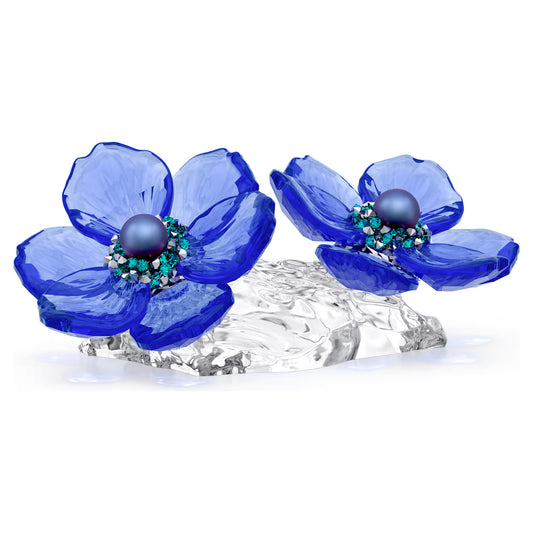 Idyllia SCS Anemone Coronaria Flower (Signed)