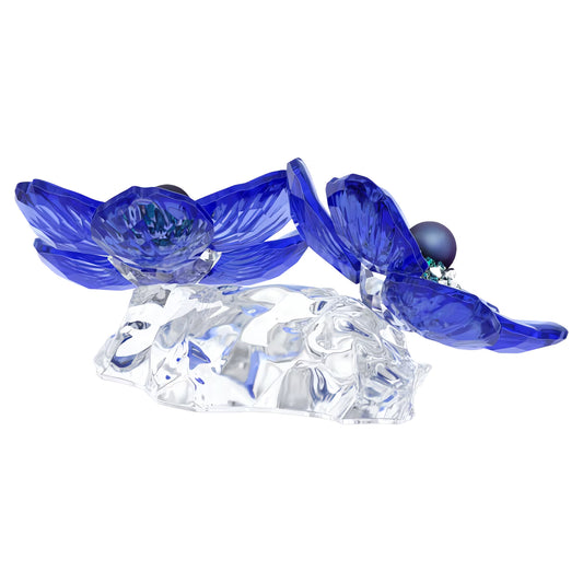 Idyllia SCS Anemone Coronaria Flower