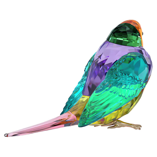 Idyllia SCS Gouldian Finch, Small