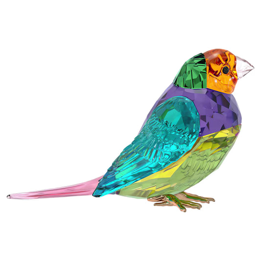Idyllia SCS Gouldian Finch, Small