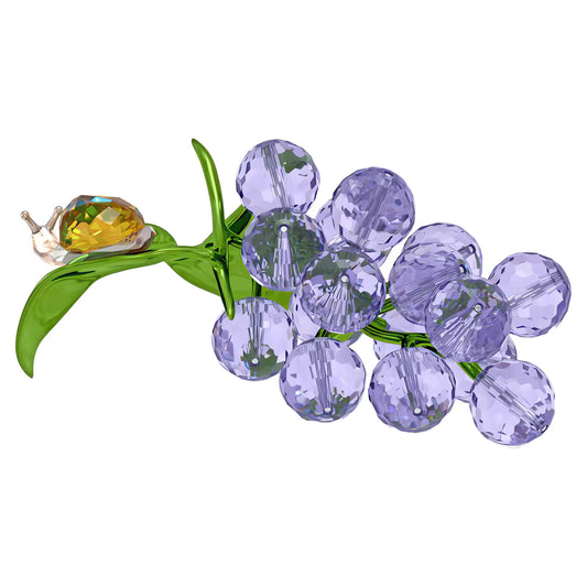 Idyllia Snail and Blueberries