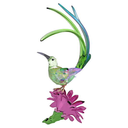 Idyllia Sugarbird and Cactus Flower