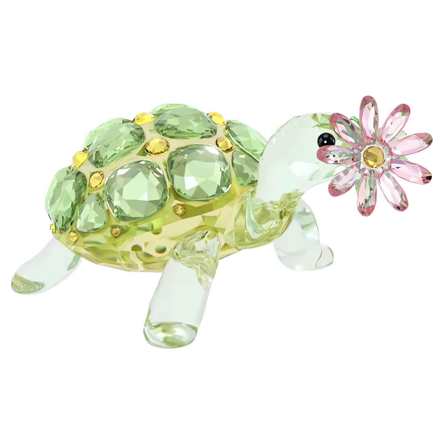 Idyllia Tortoise and Daisy
