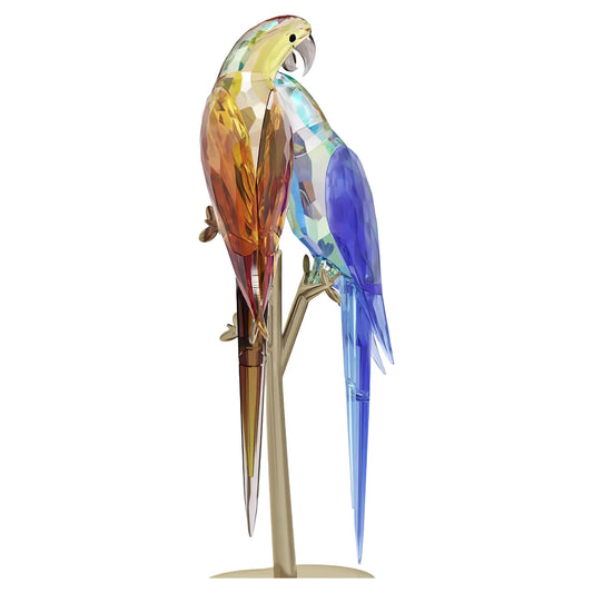 Jungle Beats Parrot Couple Bell & Brio