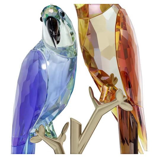 Jungle Beats Parrot Couple Bell & Brio