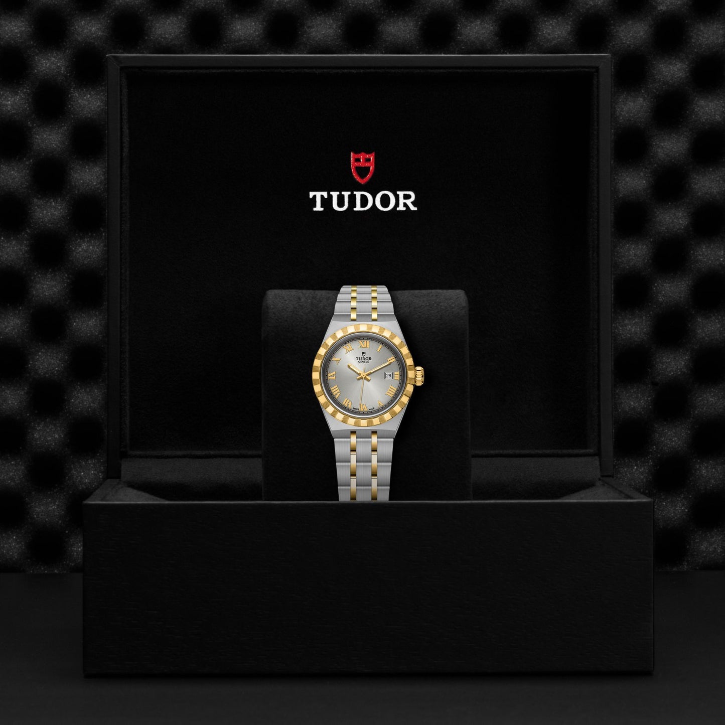 ROYAL 28mm | Steel Case Gold Bezel