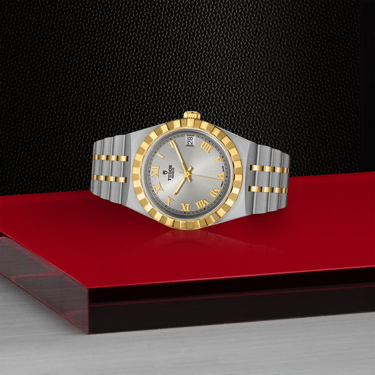 ROYAL 34mm | Steel Case Gold Bezel