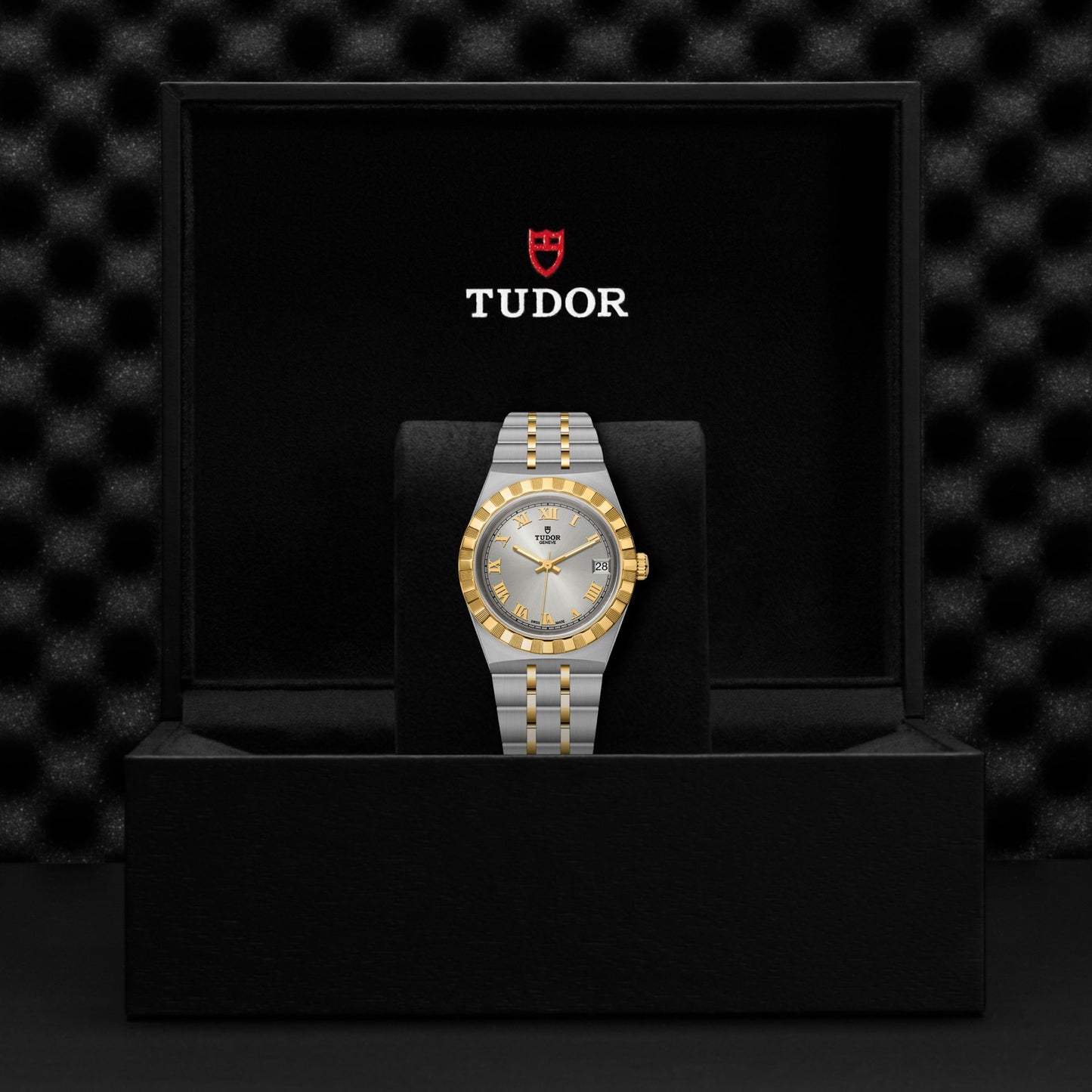 ROYAL 34mm | Steel Case Gold Bezel