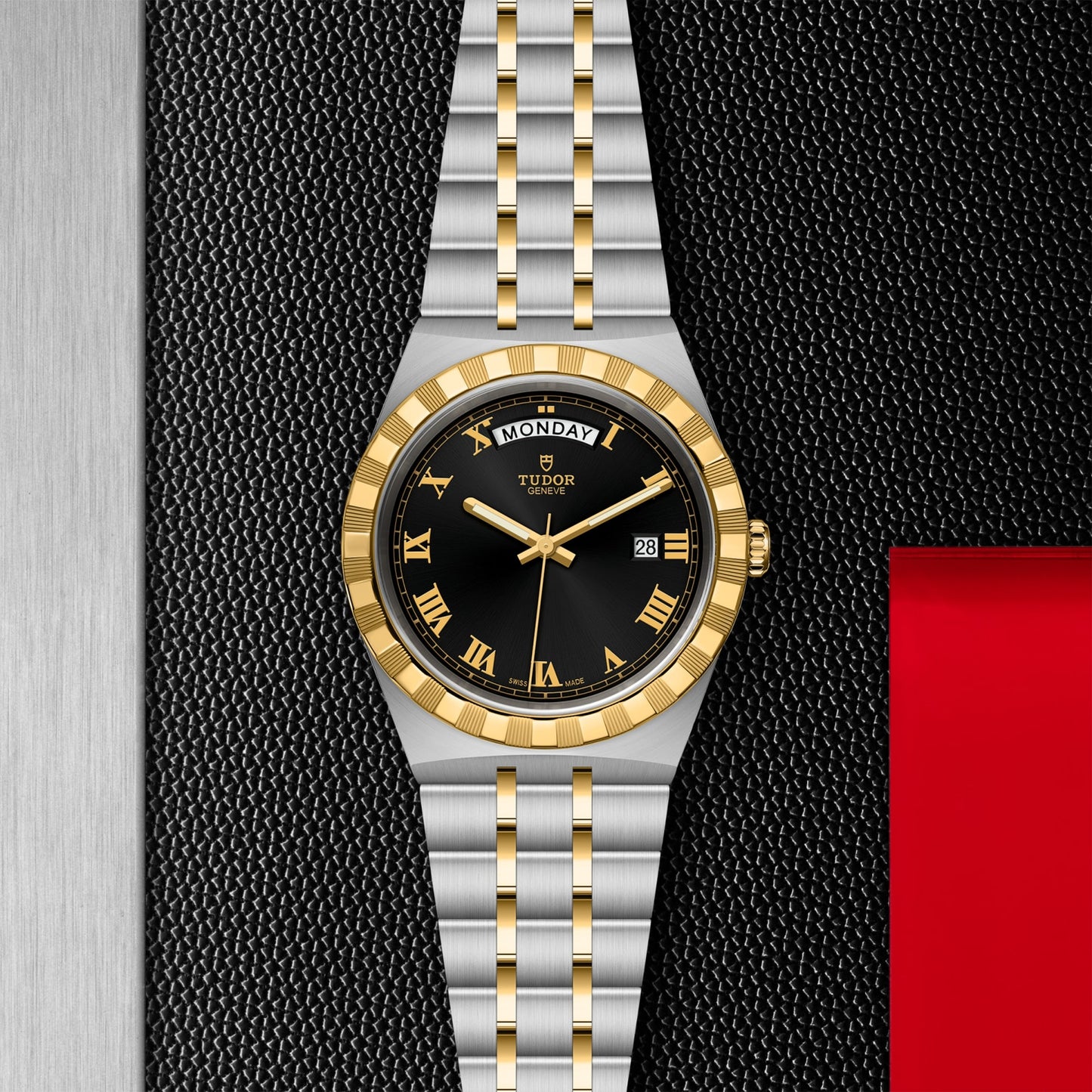 ROYAL 41mm | Steel Case Gold Bezel