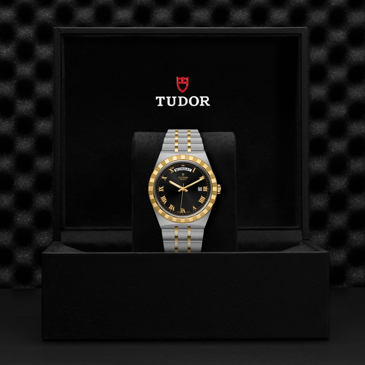 ROYAL 41mm | Steel Case Gold Bezel