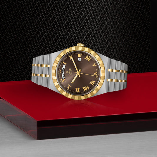 ROYAL 41mm | Steel Case Gold Bezel Chocolate Dial