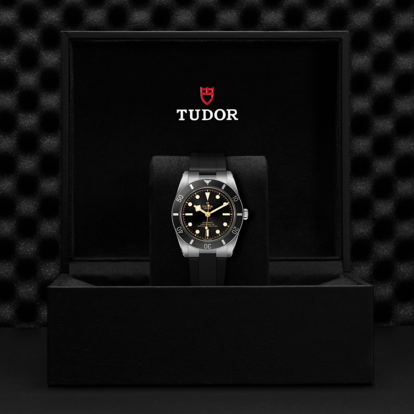 BLACK BAY 54 | 37mm Steel Case Black Dial