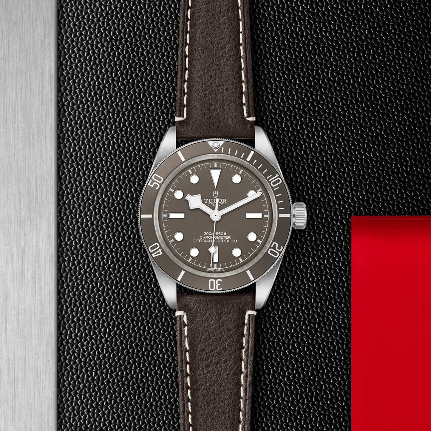 BLACK BAY 58 925 | 41mm Silver Case Taupe Dial
