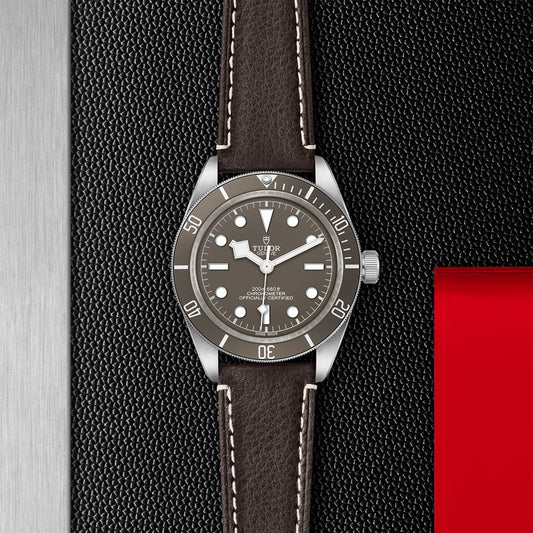 BLACK BAY 58 925 | 41mm Silver Case Taupe Dial