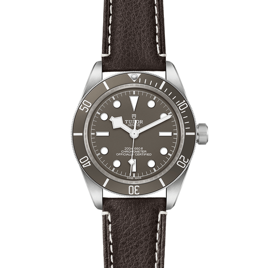 BLACK BAY 58 925 | 41mm Silver Case Taupe Dial