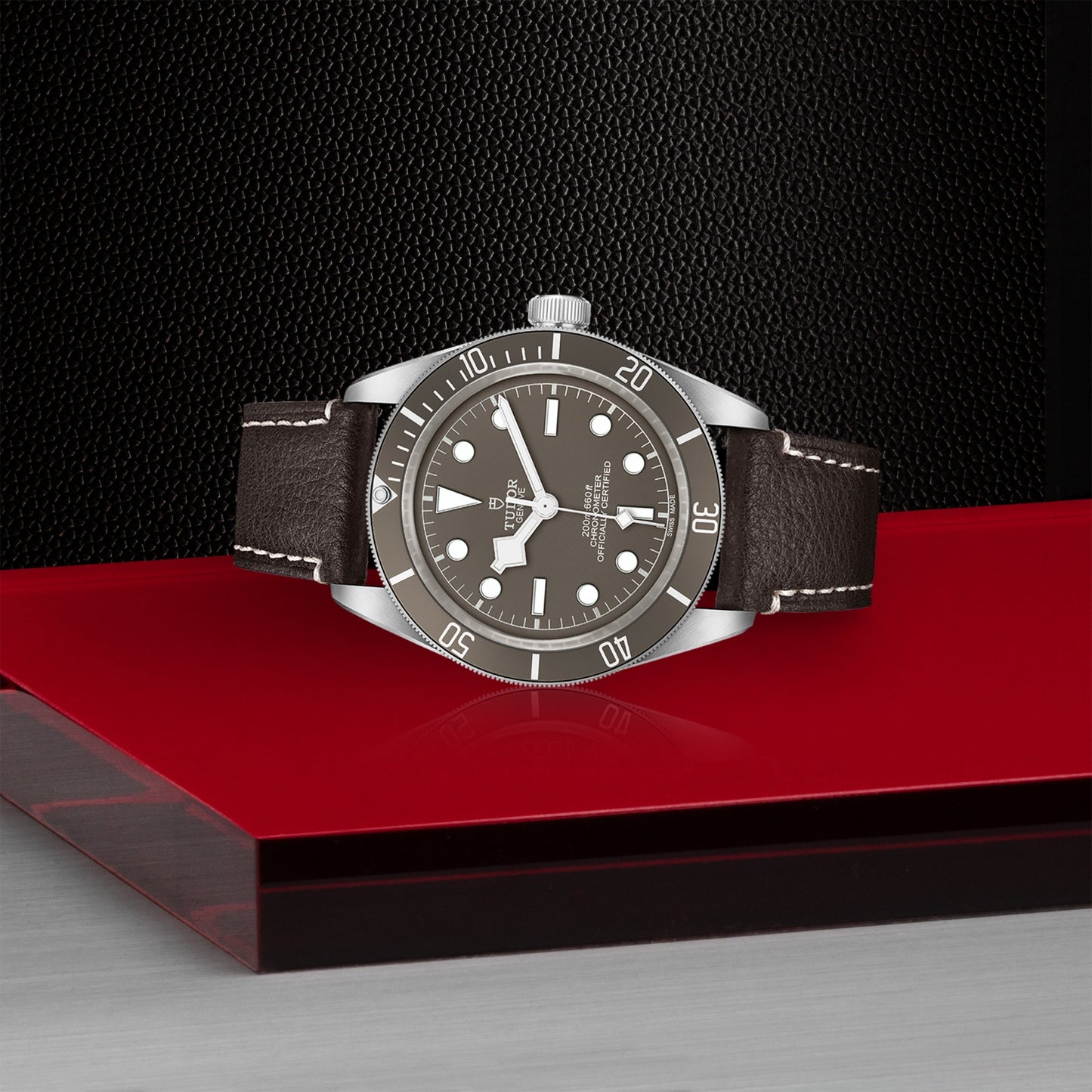BLACK BAY 58 925 | 41mm Silver Case Taupe Dial