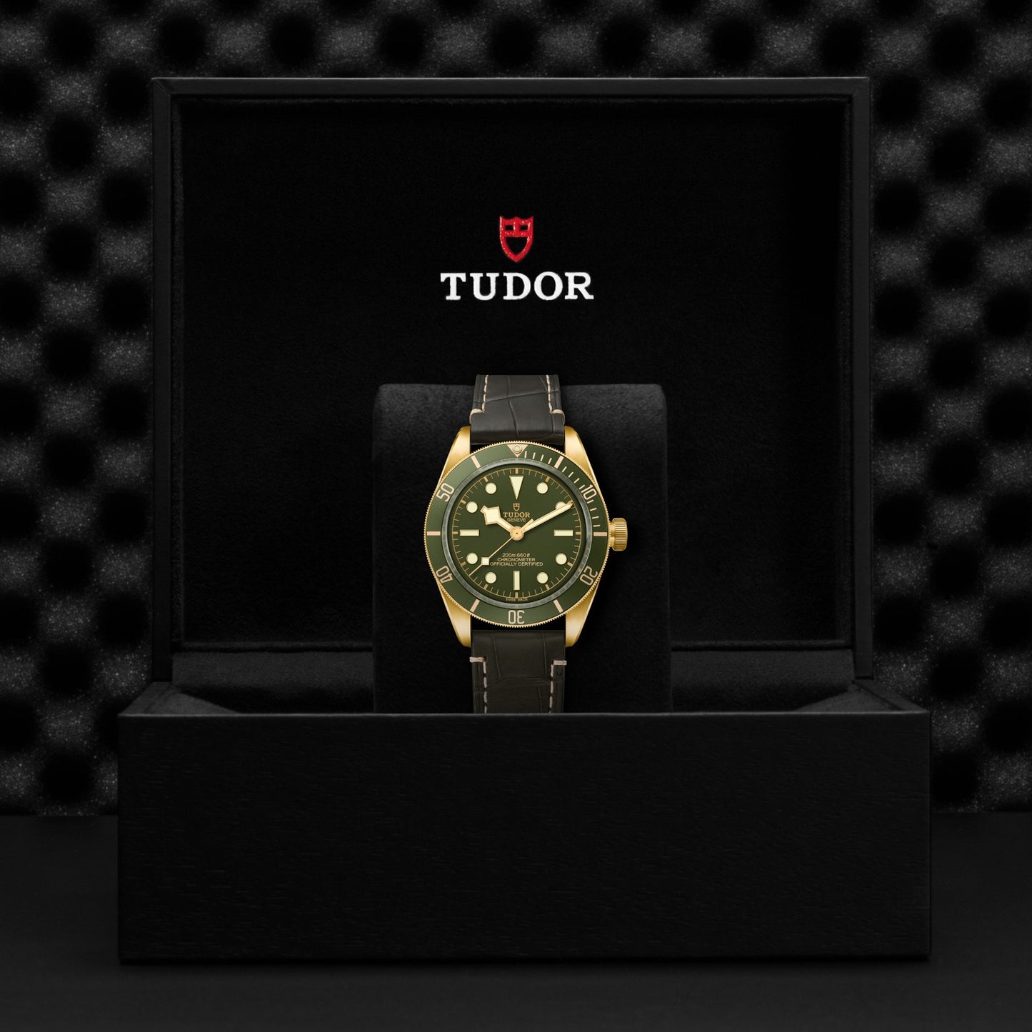 BLACK BAY 58 18K | 39mm 18ct Gold Case Green Dial