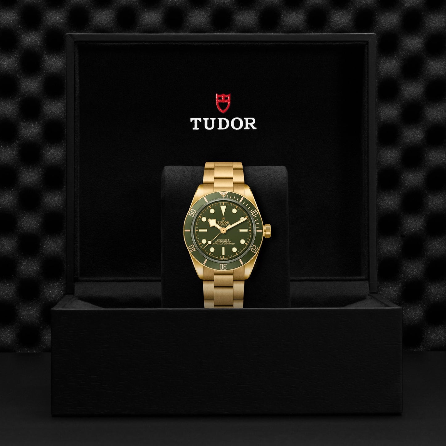 BLACK BAY 58 39mm | 18ct Gold Green Dial & Bezel